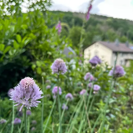 Apartament Fruehstuecken In Naturidylle *
